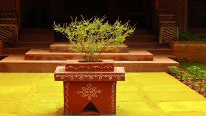 वास्तुशास्त्र सांगतं तुळशीचे असेही फायदे; ‘हे’ उपाय केल्यास मिळेल मोठा लाभ