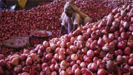 कांद्याचे दर पाडणारे सरकार पाडा ; शेतकरी नेत्यांची आक्रमक मागणी