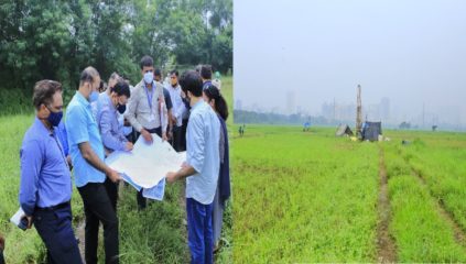 मर्यादेपेक्षा जास्त झाडे तोडण्यास परवानगी कशी दिली? उच्च न्यायालयाची मुंबई मनपाला विचारणा