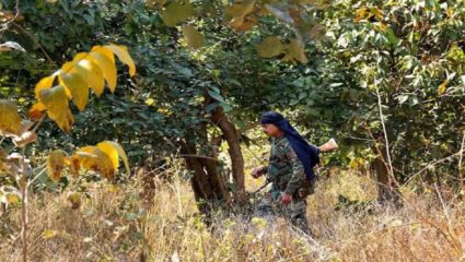 ‘रेड कॉरिडोर’मध्ये कोरोनाची दहशत; आठ नक्षल्यांचा मृत्यू तर भितीने अनेकांनी सोडली चळवळ