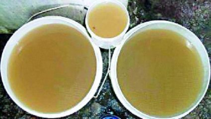 जठारवाडीत गॅस्ट्रो सदृश्य साथीचे दोन बळी
