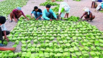 तेंदूपत्त्यातून १०० कोटींची खंडणी; माओवाद्यांच्या आर्थिक व्यवहारांवर सुरक्षा दलांचे लक्ष