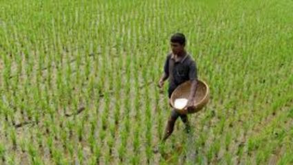 खतांची भाववाढ मागे घ्या; कृषी उत्पन्न बाजार समितीच्या संचालकाची मागणी