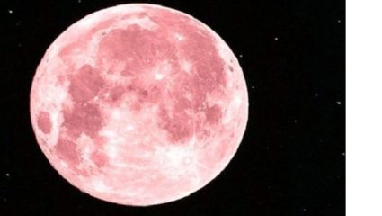 सुपर फ्लाॅवर मून पाहण्याची संधी २६ मे रोजी; चंद्रोदयाच्या वेळेस ३५ मिनिटांसाठी होणार छायाकल्प ग्रहण