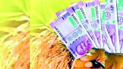 खासगी बॅंकांच्या तुलनेत जिल्हा मध्यवर्ती सहकारी बॅंकेची कर्जवाटपाची गती अधिक ; तरीही शेतकऱ्यांना सतावतेय पीककर्जाची चिंता