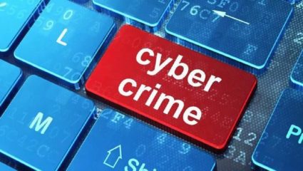 ऑनलाईन फसवणुकीत गेलेले 2 लाख 68 हजार फिर्यादींना केले परत; सायबर पोलिसांची कामगिरी