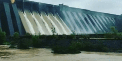 सिंचन, विजेच्या पाणी वापरात कपात! कोयना धरणात पाणी कमी असल्यामुळे जलसंपदा विभागाचा निर्णय