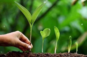 प्रगतीचे पर्यावरण…