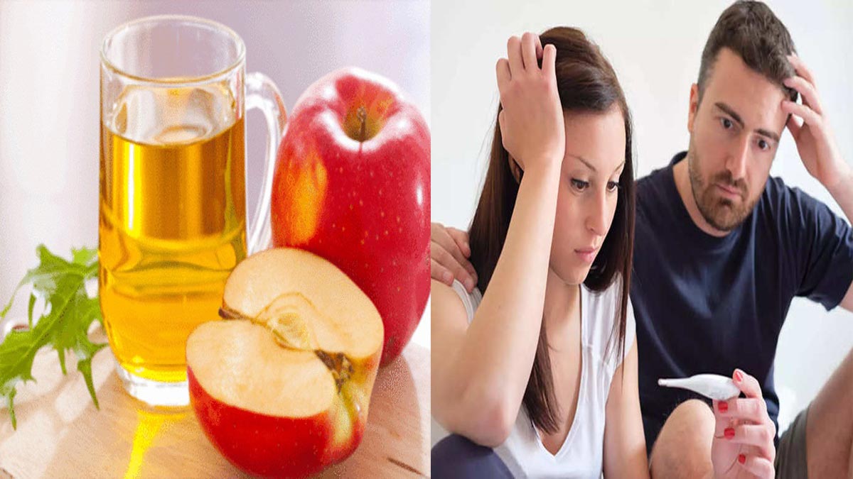 प्रेग्नंसी राहात नाहीये तर या गोष्टी प्यायला करा सुरूवात, लगेचच होईल गर्भधारणा