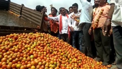 टोमॅटोचे दर कमी होईना; पण दर आणखी वाढण्याची शक्यता, काय झालं नेमकं? जाणून घ्या…
