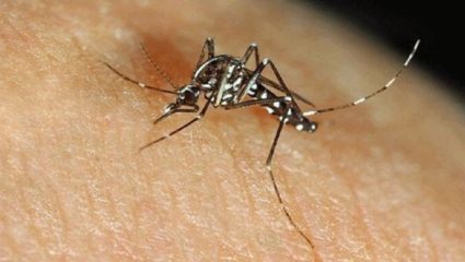 माण तालुक्यात दूषित हवामानामुळे डेंग्यू व मलेरियाची रुग्णसंख्या वाढली