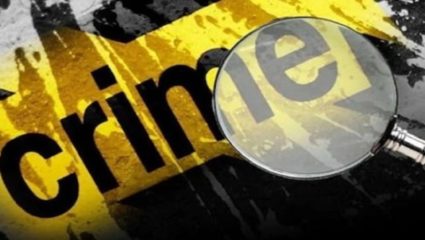 आजोबासह नातू ट्रॅक्टरवरून करत होते पेरणी; झाला पलटी अन् मग…