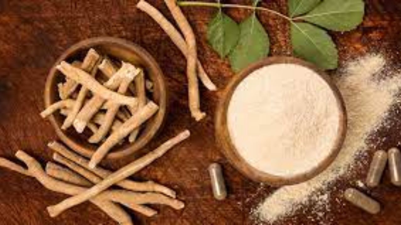 डायबिटिसच्या रुग्णांसाठी संजीवनी आहे ‘ही’ वनस्पती; लाभ जाणून तुम्हीही व्हाल थक्क!