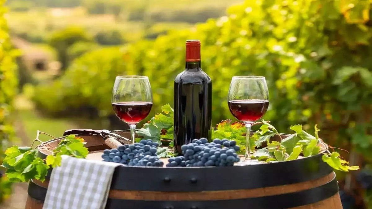 आयुर्वेदाने Wine ला म्हटलं दवा, रेड वाईनने लाभते दिर्घायुष्य, अशी प्यायल्याने होतील अनेक Benefits