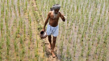 अवकाळी पावसाने १९०५.५८ हेक्टर क्षेत्रावरील ४७२६ शेतकऱ्यांच्या बागायती पिके व फळबागांचे मोठे नुकसान