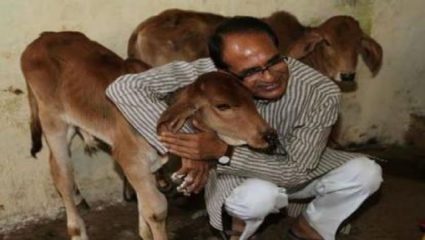गाय, शेण आणि गोमूत्र देशाची अर्थव्यवस्था सुधारु शकते, शिवराज सिंह चौहान यांनी सांगितला फॉर्म्युला