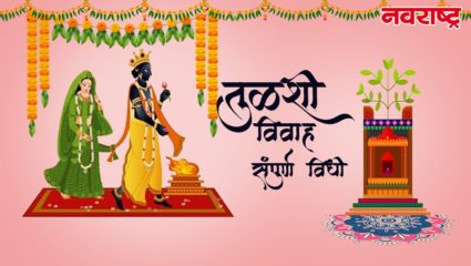 तुळशीचं लग्न लावायचंय ? जाणून घ्या तुळशी विवाहाची पद्धत