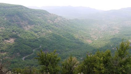 अंबेनळी घाटासह प्रमुख रस्त्यांसाठी ६३ कोटी; प्रमुख रस्त्यांसाठी निधी मंजूर