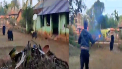 गावामध्ये अचानक आले दोन अस्वल, गावकऱ्यांनी मशाल लावताच धूम ठोकून पळाले जंगलात – तुम्ही हा व्हिडिओ पाहिलात का ?