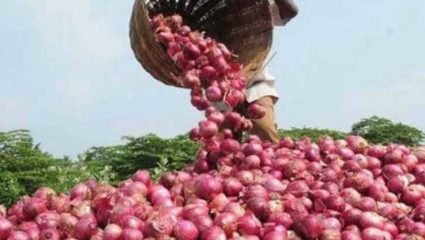 नाशिकचा कांदा जाणार हैदराबादला; आता कांद्याला मिळणार चांगला दर