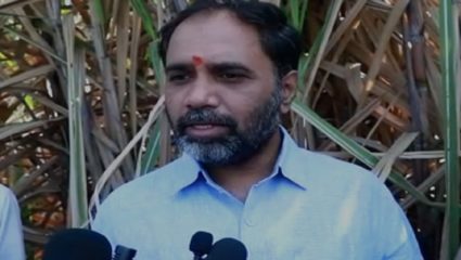 साखर कारखान्यांनी विक्रमी ऊस गाळप केला; तर सध्या शेतात ऊस उभा कसा?