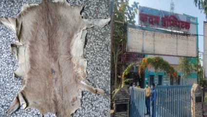 कदम यांनी दिले होते वनविभागाला पत्र, त्यांच्या घरातून जप्त करण्यात आले हरणाचे कातडे