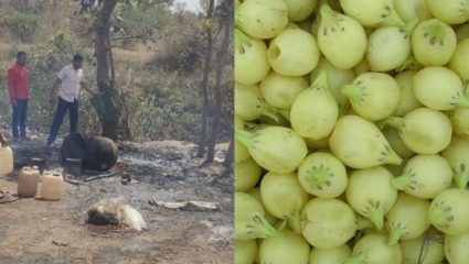 मोहफुलाच्या दारु भट्ट्यांवर छापा साडेचार लाखांचा मुद्देमाल जप्त तर, पोलिसांना पाहताच आरोपींनी काढला पळ