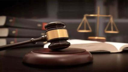 भारतीय नागरिकत्वासाठी झगडणाऱ्या इराणी व्यक्तीला न्यायालयाने दिला न्याय, अर्जाचा पुनर्विचार करण्याचे केंद्र सरकारला निर्देश