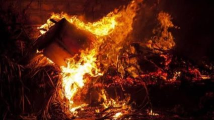 गोजेगावात ६० एकरातील ऊस जळाला, राजेंनी न्याय द्यावा; शेतकऱ्यांची मागणी