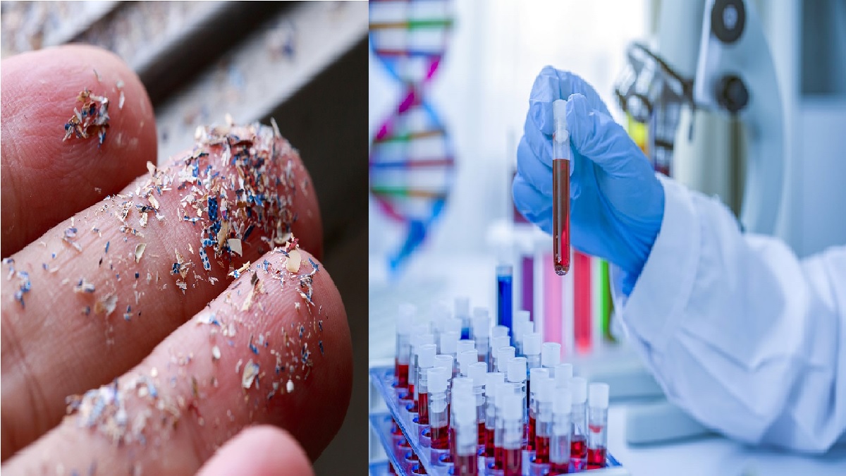 Plastic Found In Human Blood Scientists Worried About Shocking Research Nrvk