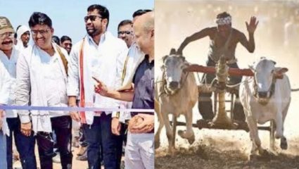 करोडी फाटा येथे शंकरपट उत्साहात !  तब्बल १ लाख ५५ हजार ५५५ रुपयांच्या बक्षीसांची उधळण