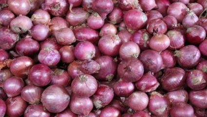 शेतकऱ्याने चक्क जनावरांना खाऊ घातला २० टन कांदा; काय आहे कारण?