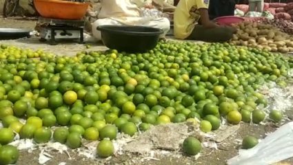 लिंबूचे वाढलेले भाव आज अचानक झाले कमी, बाहेरील राज्यातून आवक वाढल्याने जिल्ह्यातील शेतकऱ्यांना बसला फटका