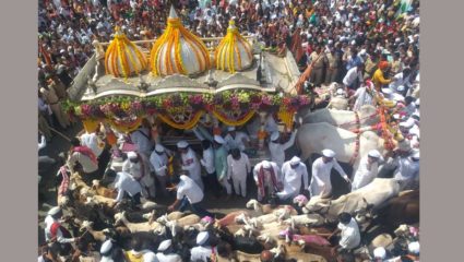 काटेवाडीतील मेंढ्यांच्या गोल रिंगणाने फेडले डोळ्यांचे पारणे; संत तुकोबारायांचा पालखी सोहळा इंदापुरात दाखल