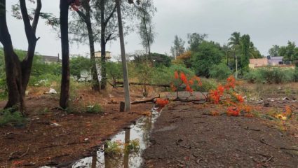 वालचंदनगरमध्ये विजांच्या कडकडाटांसह मुसळधार पाऊस; नागरिकांची तारांबळ