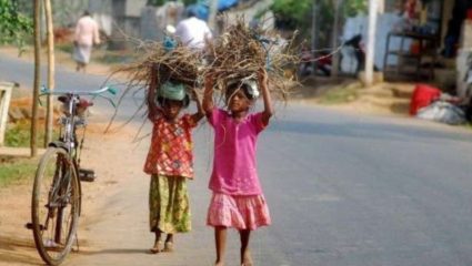शाळाबाह्य मुलांसाठी आता मिशन झिरो ड्रॉपआउट ! ५ जुलैपासून अभियानाला सुरुवात