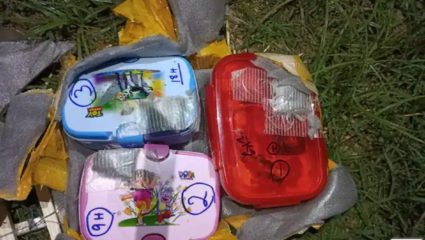 पाकिस्तानने ड्रोनद्वारे टिफीनमधून पाठवले बॉम्ब
