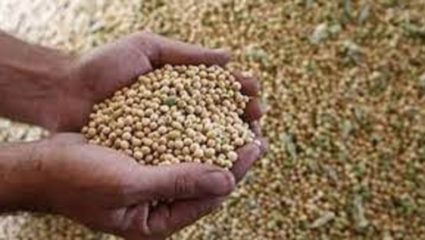 खरीपासाठी तब्बल ‘इतक्या’ हजार क्विंटल बियाण्यांचा पुरवठा…