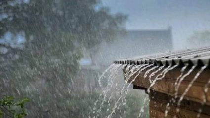 विदर्भातल्या अनेक जिल्ह्यात मुसळधार पावसाचा इशारा