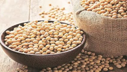 खरिपाच्या तोंडावर बियाण्यांचा अभूतपूर्व तुटवडा
