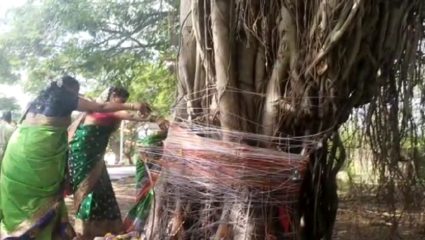 मुंबईमध्ये वटसावित्री पौर्णिमा उत्साहात साजरी!