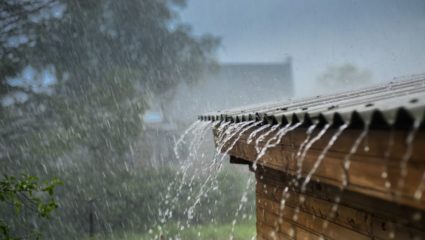 कोकणासह पश्चिम महाराष्ट्र विदर्भात पाऊस; रायगड, रत्नागिरी, पुणे, कोल्हापूर, नाशिकसह गडचिरोलीला रेड अलर्ट
