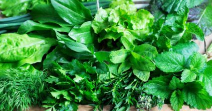 पावसाळ्यात हिरव्या पालेभाज्या खाता, तर सावधान!