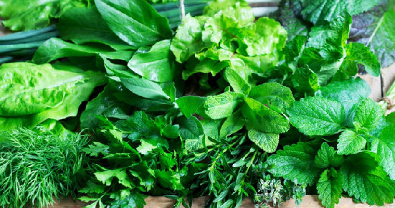 पावसाळ्यात हिरव्या पालेभाज्या खाता, तर सावधान!