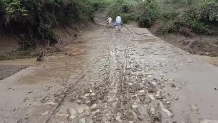 शिरपूल्ली ते डोंगरगाव रस्त्याची दुरवस्था, रस्त्याअभावी शेतकऱ्यांची शेतातच राहुटी