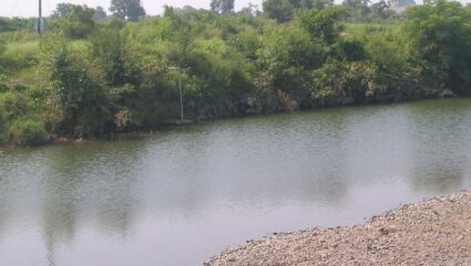अडाण जलाशयात प्रेमीयुगुलाची आत्महत्या, सोबत जगण्याच्या ध्यासापोटी उचलले असे पाऊल