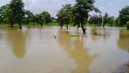 तलाव फुटला अन्…. शेकडो एकर शेतजमीन गेली पाण्याखाली,  शेतकऱ्यांसमोर उदरनिर्वाहाचा प्रश्न
