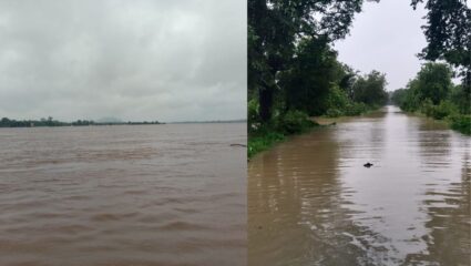 २२ हजार शेतकऱ्यांच्या स्वप्नांचा चुराडा ! ११ हजार हेक्टरवरील पिकांचे नुकसान, ६०८ गावांना पुराचा फटका