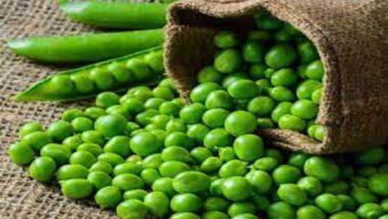ग्लोईंग स्किन करण्यासाठी करा हिरव्या वाटण्याचा वापर !