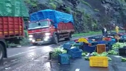 कसारा घाटात ट्रकची आयशरला धडक; चालकाचा मृत्यू